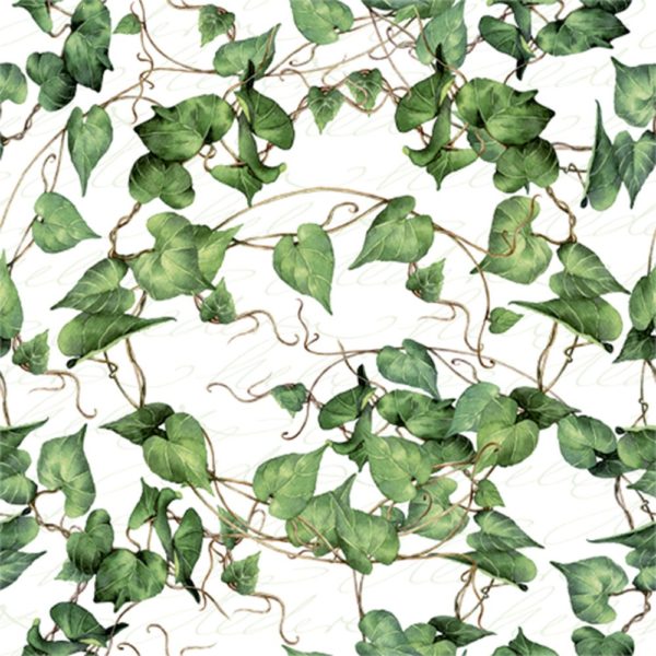 Green Ivy Branches