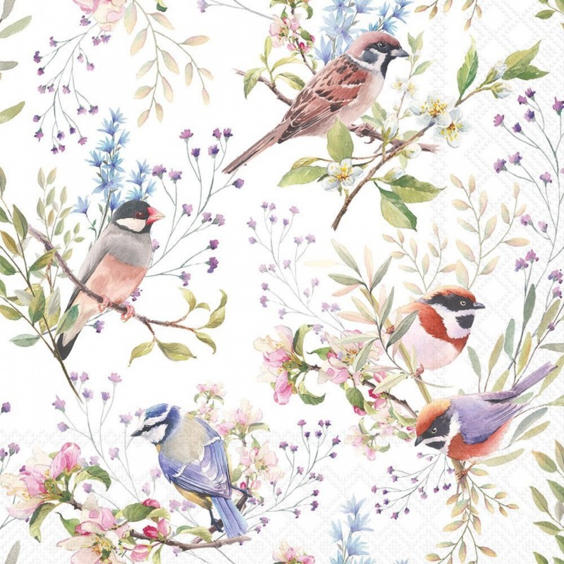 servilleta-busy-birds