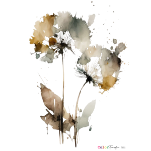 color-transfer-27x21-cm