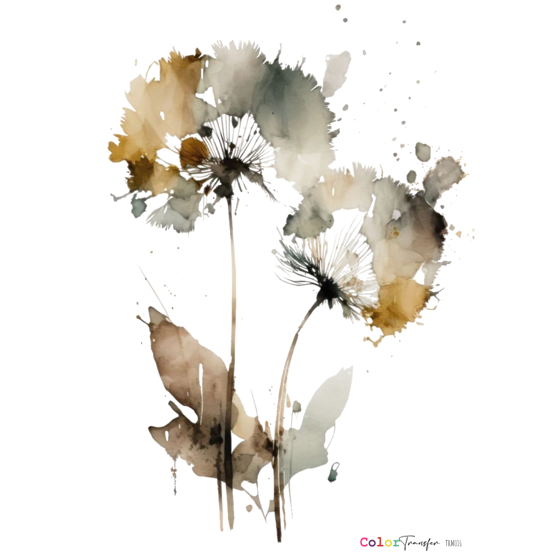 color-transfer-27x21-cm