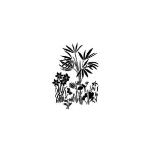 stencil-vegetal-cadence